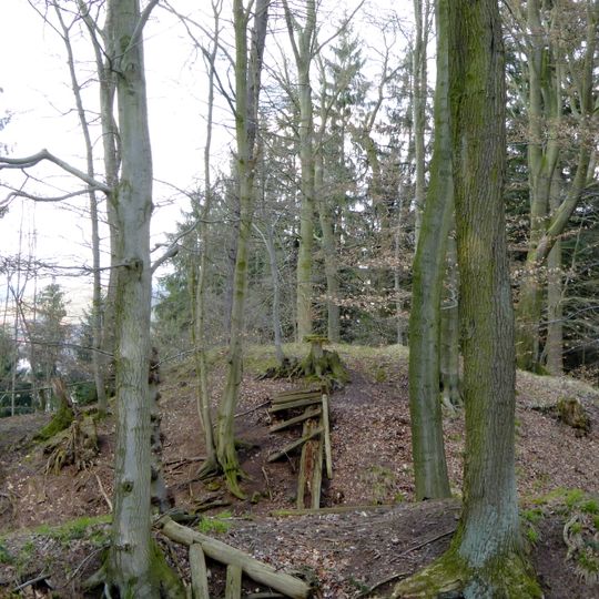 Motte bei Trögen