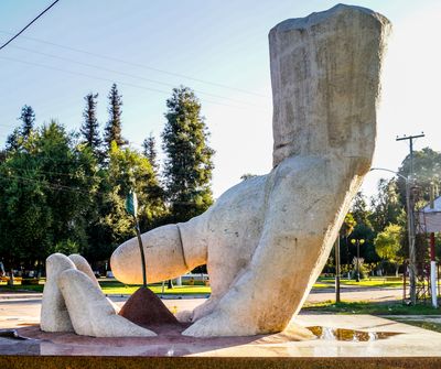 Immagine alternativa