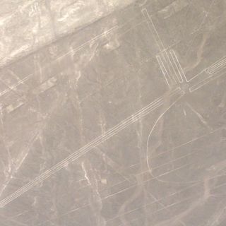 Nazca Frigate Bird geoglyph
