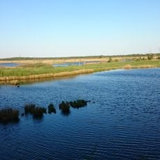 Bokelholmer Fischteiche