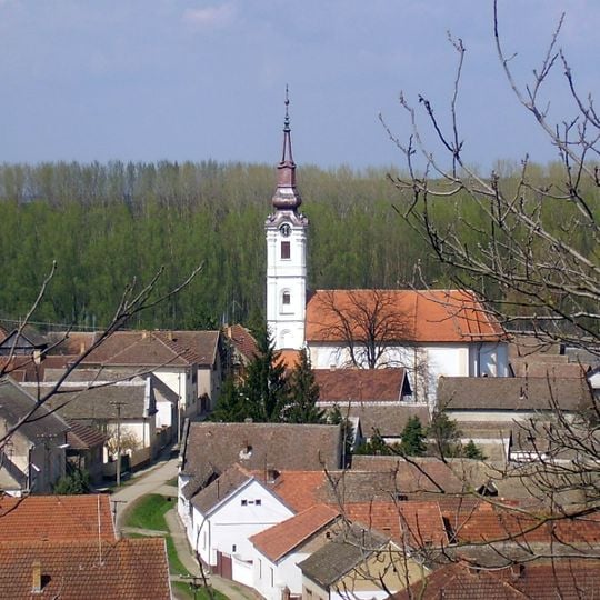 Neštin