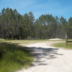 Matanzas State Forest
