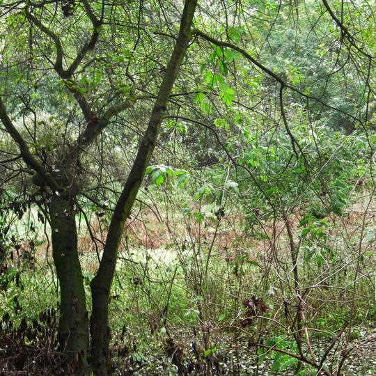 Rezerwat przyrody Żurawiniec