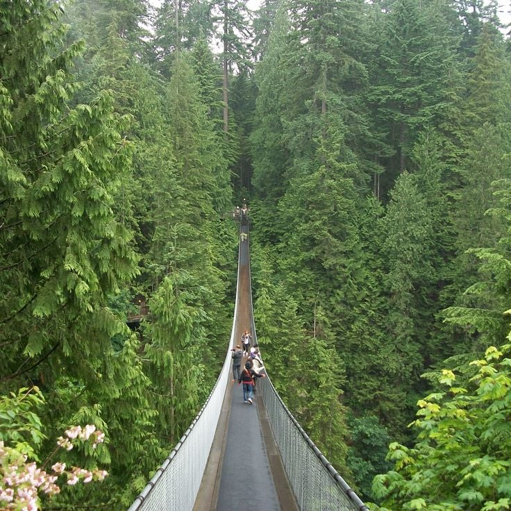 Most Wiszący Capilano