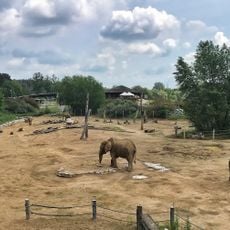 Elephant enclosure