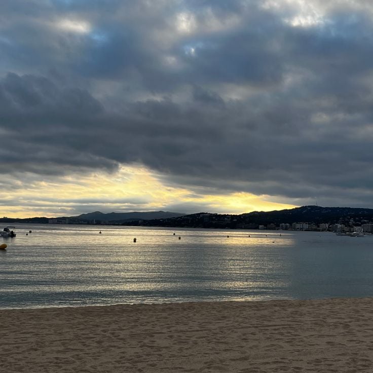 Gran de Palamós