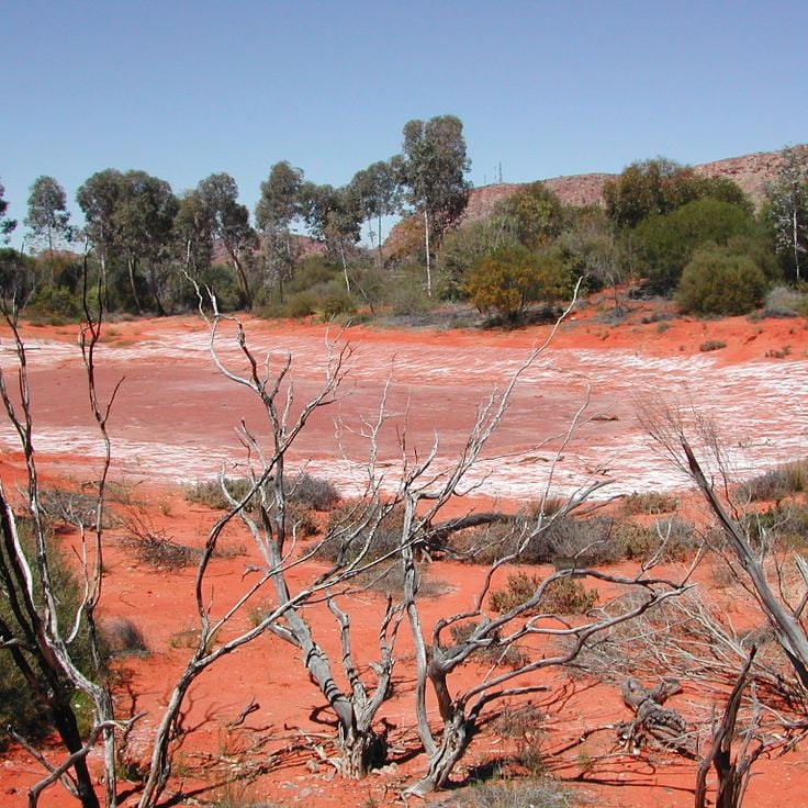 Parque del Desierto de Alice Springs