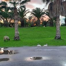 Jardin japonais de Tunis