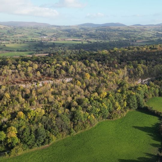 Craig Adwy-wynt a Choed Cil-y-groeslwyd