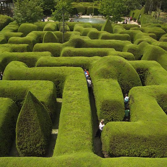 Aschombe Maze & Lavender Gardens