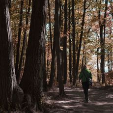 Rattlesnake Point