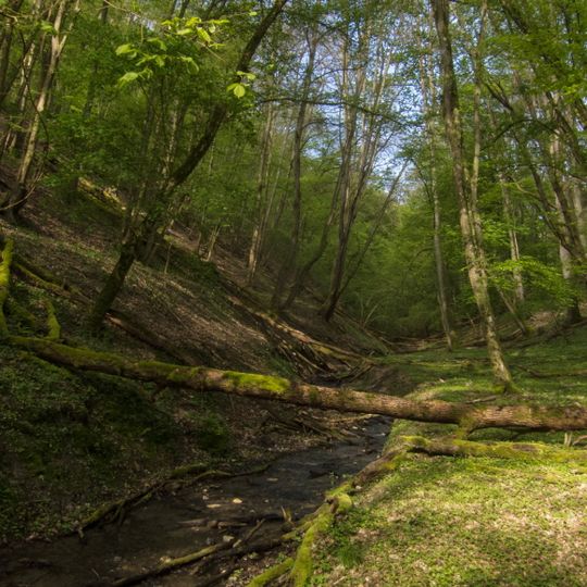 Schittkamm im Wispertal bei Lorch