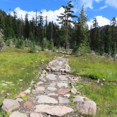 Upper Panther Meadow