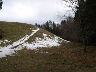 Winter 1