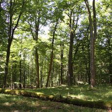 Čertova hora u Vráže