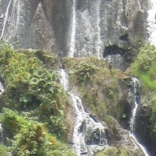 Dipartimento di Risaralda