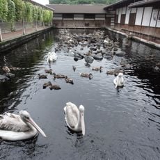 Kakegawa Kachouen