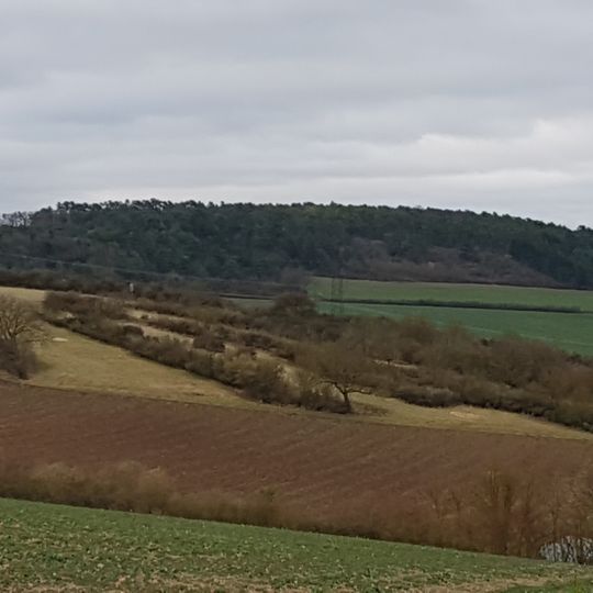 Naturdenkmal Magerrasen Fuchsschwanz
