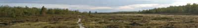 Panoramic View 0