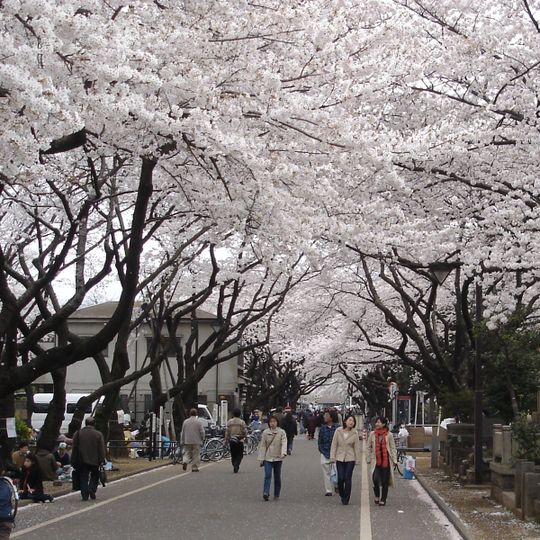 Friedhof Yanaka