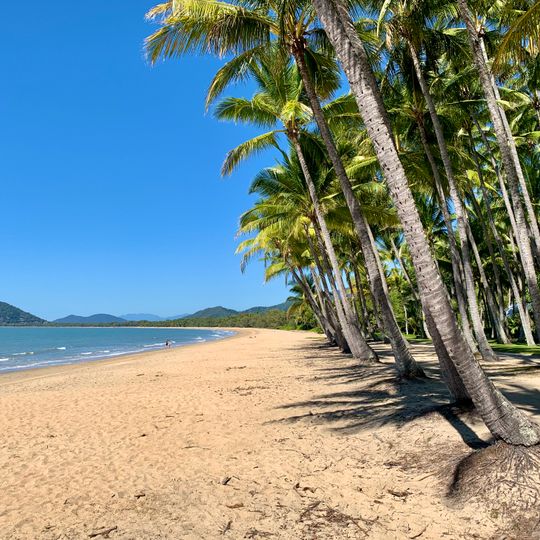 Palm Cove