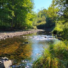 Salt Springs Provincial Park
