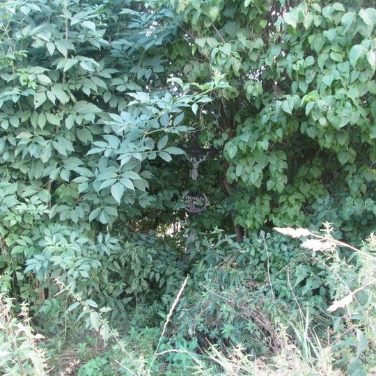 Kříž v křoví východně od Kobylí a Plchova