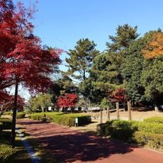 木曽川祖父江緑地