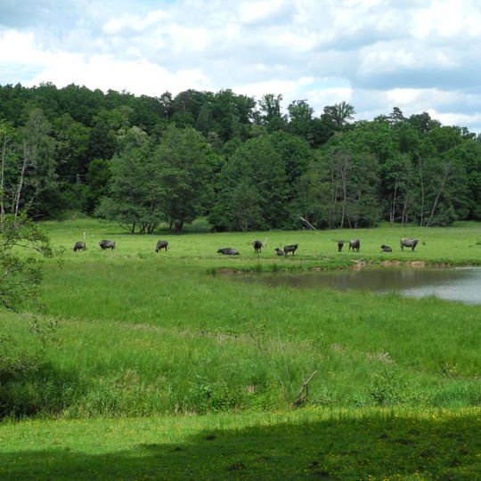 Wieragrund von Schwalmstadt
