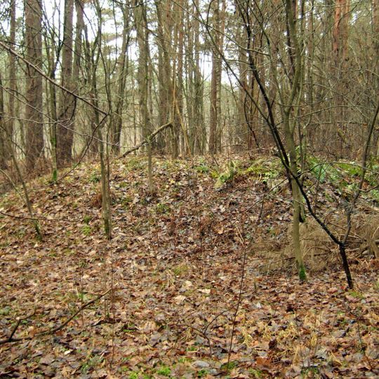 Pučkalaukio pilkapynas