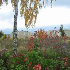 Молодёжный парк (Липецк)