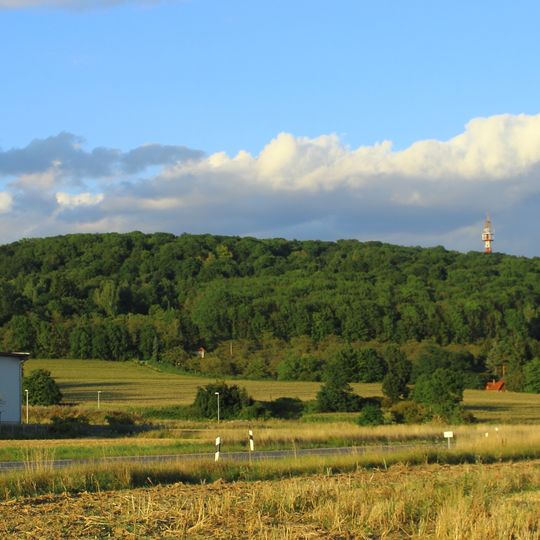 Muschelkalkhänge nordöstlich Bayreuth