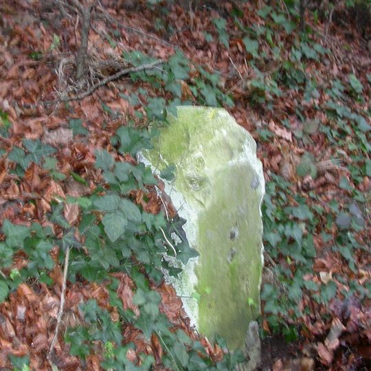 Milestone, Shawford jct