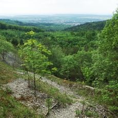 Bergrutsch am Hirschkopf