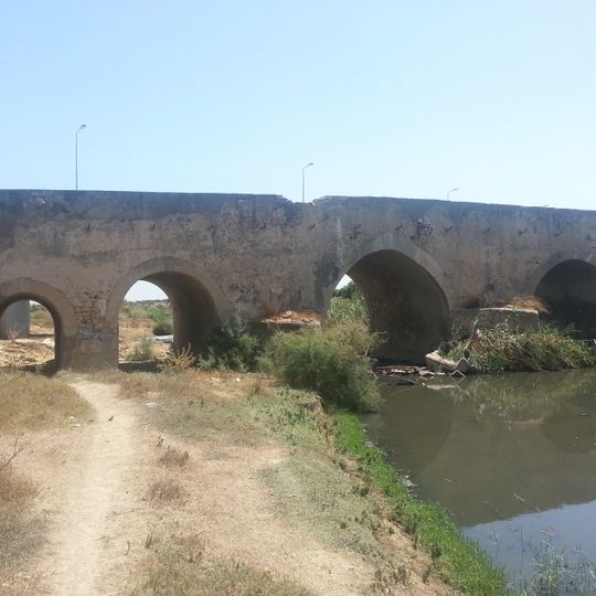 Archaeological bridge over Oued Miliane