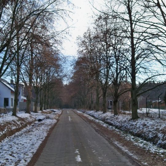 Żabieniec, Piaseczno County