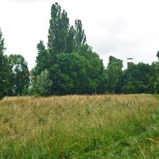 Bienert meadow