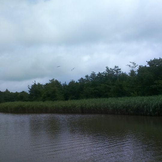 Tourbière de Pitshora