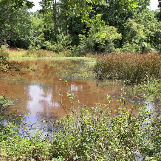 Neches River National Wildlife Refuge