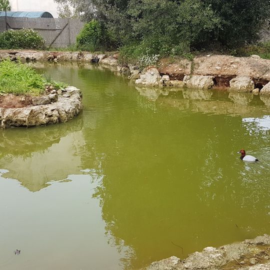 Natural History Museum of Salento