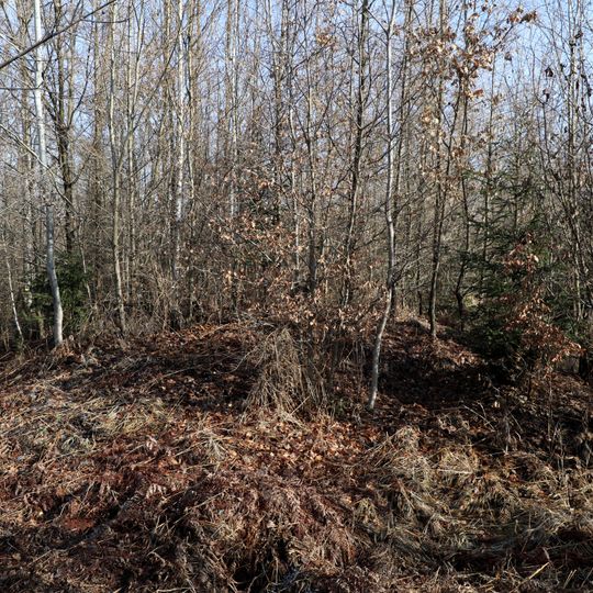 Barrow cemetery Schlossried