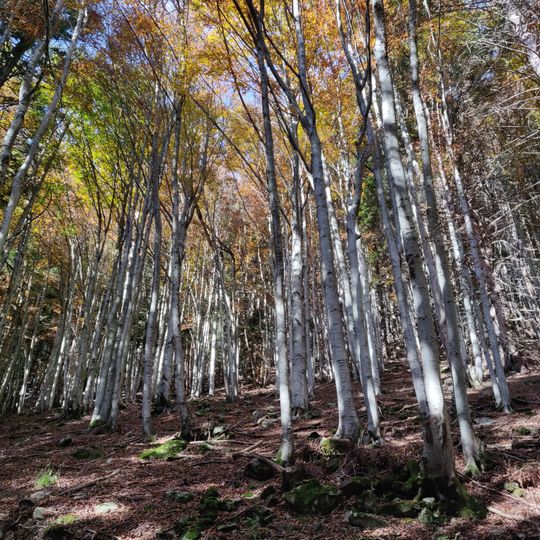 Riserva naturale Guadine Pradaccio
