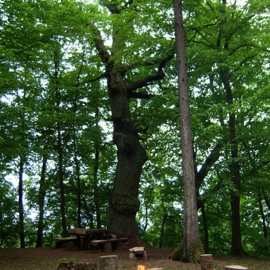 Mažieji Žinėnai hillfort