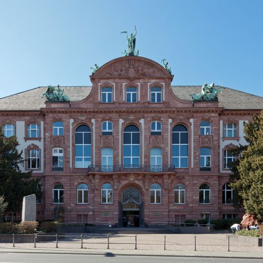Senckenberg Museum