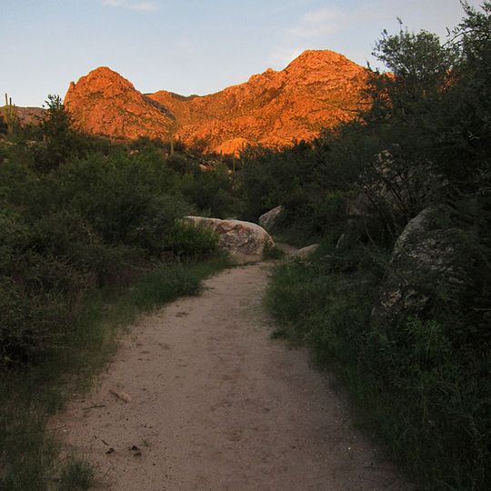 Catalina State Park