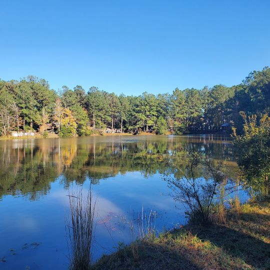 Louisiana Renaissance Festival
