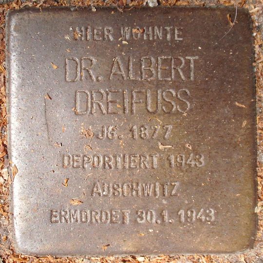 Stolperstein dedicated to Dr. Albert Dreifuss