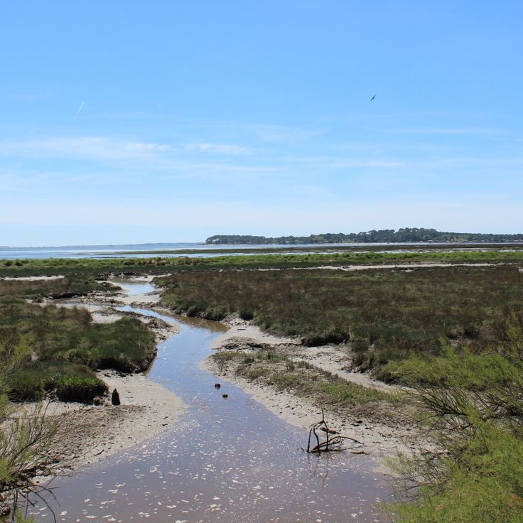 La réserve naturelle nationale des prés salés d'Arès et de Lège-Cap Ferret