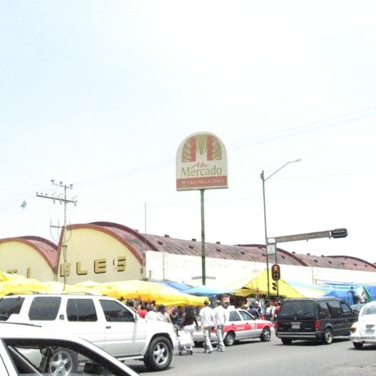 La Lagunilla Market