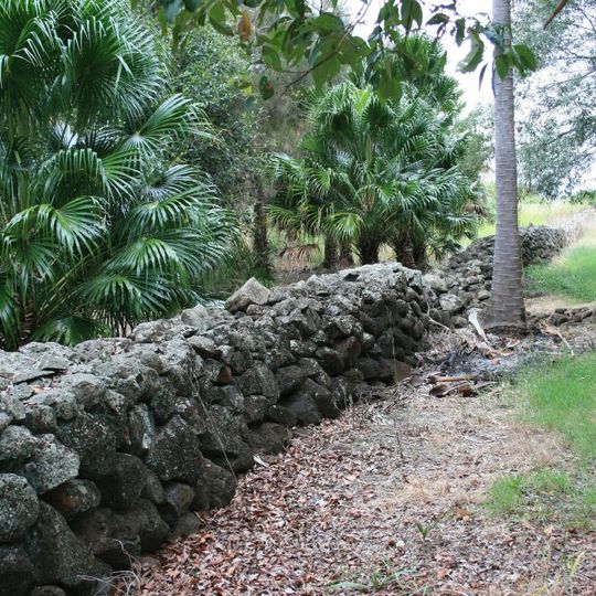 South Sea Islander Wall